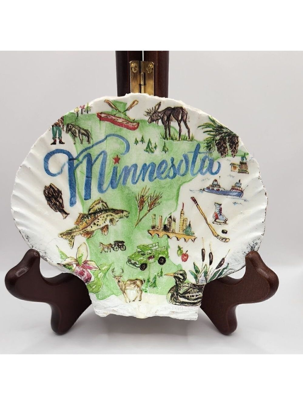 SCALLOPED FAN SHELL 